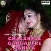 About Chalakela Ganga Ji Ke Paniya Song